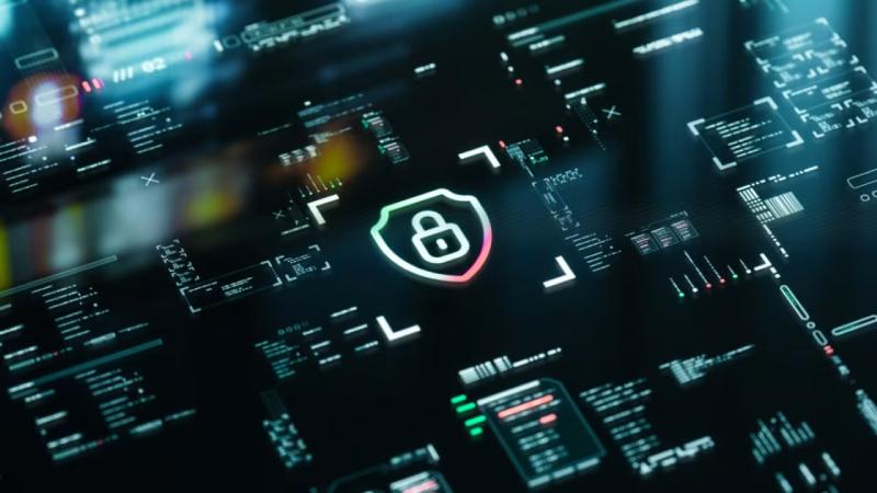 长乐市软件开发公司
